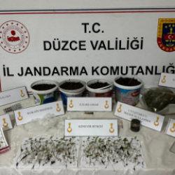 D&uuml;zce&rsquo;de evini uyuşturucu tarlasına &ccedil;evirmiş: Saksılarda y&uuml;zlerce k&ouml;k kenevir &ccedil;ıktı!