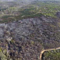  Beykoz'daki yangının bilan&ccedil;osu g&uuml;n ağarınca ortaya &ccedil;ıktı