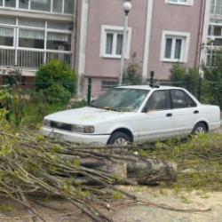 İstanbul'da fırtına alarmı! Otomobilin &uuml;st&uuml;ne ağa&ccedil; devrildi