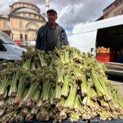 Kilogramı 150 TL'ye dayandı! Y&uuml;z g&uuml;ld&uuml;ren hasat