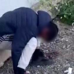Hatay'da kameraya yansıyan g&ouml;r&uuml;nt&uuml; y&uuml;reklere korku salmıştı: Yeni gelişme 