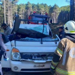 Uludağ'da kesilen ağa&ccedil;, seyir halindeki kamyonetin &uuml;zerine devrildi: 1 &ouml;l&uuml;