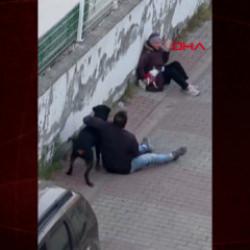 &Uuml;mraniye&rsquo;de ağızlıksız gezdirilen rottweiler, k&uuml;&ccedil;&uuml;k ırk k&ouml;peğe saldırdı