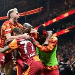 Aslan mayıs sever