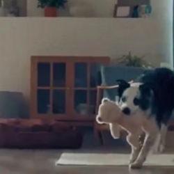 Bosch'un skandal reklamına tepkiler s&uuml;r&uuml;yor: T&uuml;rkiye'nin değer d&uuml;nyası hafife alınıyor