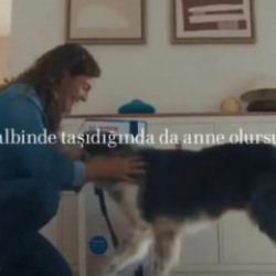 Bosch'un skandal reklamı i&ccedil;in Bakanlık d&uuml;ğmeye bastı! Yayından kaldırdılar