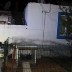 Eski dosyalar a&ccedil;ıldı! Kaza değil cinayet &ccedil;ıktı