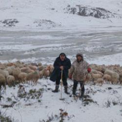 Isparta'da tipi ve heyelan esareti: 2 &ccedil;oban ve 650 k&uuml;&ccedil;&uuml;kbaş yaylada mahsur kaldı
