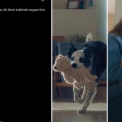 &ldquo;K&ouml;pek annesi&rdquo; Siyonist aklın eseri!