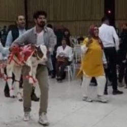 Osmaniye'de gelin ve damada verilen hediye d&uuml;ğ&uuml;ne damga vurdu 