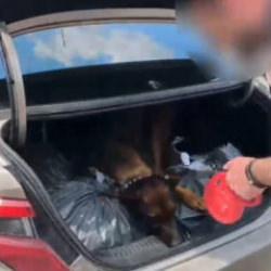 Sakarya'da 80 kilo uyuşturucu ele ge&ccedil;irildi: 3 tutuklama