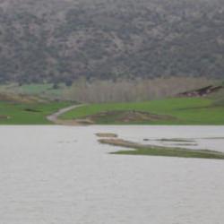 Şiddetli yağış sonrası sular atlında kaldı! 30 hane ile ulaşım kesildi!