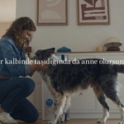 Sokak k&ouml;pekleri, evlatlarımız ve &ldquo;Anne&rdquo;liğin tanımını zorlamaya kalkışmak