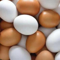 43 yıllık &uuml;nl&uuml; tavuk&ccedil;uluk firmasından k&ouml;t&uuml; haber: İflas etti!