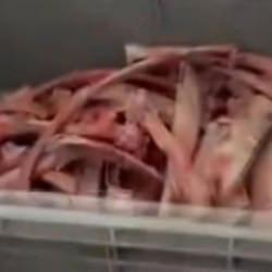 Ankara'da sağlığı tehdit eden 40 ton et ele ge&ccedil;irildi