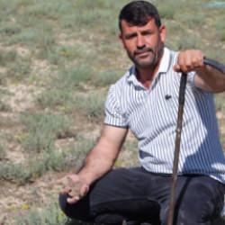 "Dolaman kurdu" g&uuml;nde 60 bin liralık mantar buluyor