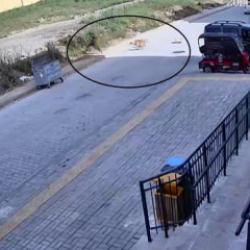 Hatay'da 7 yaşındaki &ccedil;ocuğun başıboş sokak k&ouml;peklerinden ka&ccedil;tığı anlar kamerada 