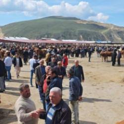 Kurban pazarlarında hareketlilik başladı