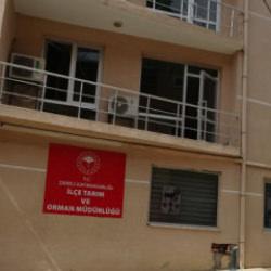 MASAK incelemesiyle ortaya &ccedil;ıktı! M&uuml;d&uuml;re 600 milyon liralık soruşturma 