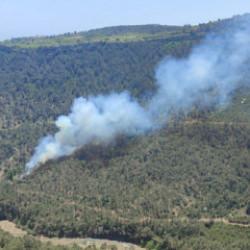Mersin'de başlayan orman yangını kontrol altına alındı 