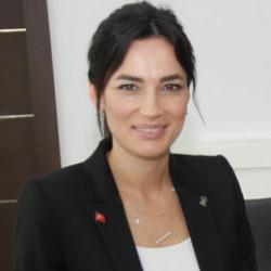 'Milletvekilinin oğlu okulu silahla bastı' yalanı: AK Partili Sarıbaş'tan tepki