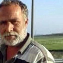 Y&uuml;r&uuml;rken arının soktuğu nalbant &ouml;ld&uuml;