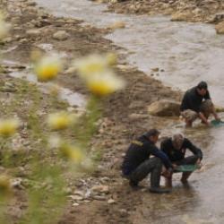 Aydın'da altın &ccedil;ılgınlığı! Duyan duymayana duyurdu: Herkes dereye akın etti