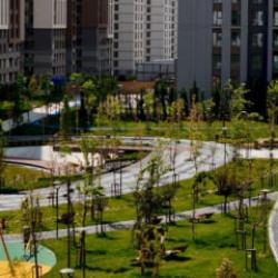 Bakan Kurum: Kangrene d&ouml;nm&uuml;şt&uuml;, yıllardır &ccedil;&ouml;z&uuml;lmeyeni &ccedil;&ouml;zd&uuml;k!