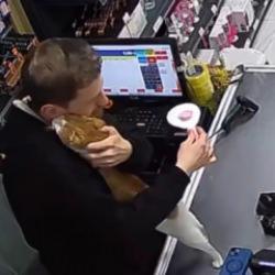 Esnafın hayat kurtaran şefkatine kediden her g&uuml;n vefa sarılması