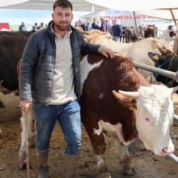 830 kiloluk kurbanlık tosun! Otomobil fiyatına satıldı