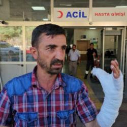 Şanlıurfa'da acil doldu taştı: Kurban kesimi sırasında 232 kişi yaralandı
