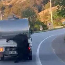 Akılalmaz hadise! Kurbanlığı ara&ccedil;tan sarkıtıp kilometrelerce s&uuml;r&uuml;kledi