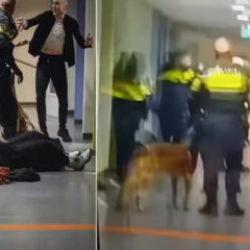 Barbar Avrupa yine sahnede: Filistinli hamile kadını yerden yere vurdular!