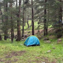 Bolu'da piknik faciası! Yıldırım d&uuml;şt&uuml;: 1'i ağır, 3 yaralı 