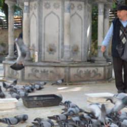 Bu bayramda eşini dostunu bıraktı, beslediği kuşlara koştu