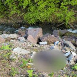D&uuml;zce'de &ouml;l&uuml; olarak bulunan adamın cinayete kurban gittiği ortaya &ccedil;ıktı 