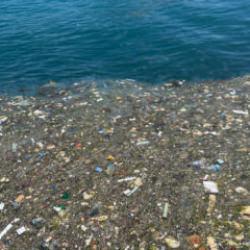 İstanbul Boğazı'nda 'pes' dedirten manzara: Sahile gelenler şoke oldu!