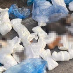 İzmir'de 33 kediyi &ouml;ld&uuml;ren veteriner tutuklandı! Başsavcının itirazı dikkat &ccedil;ekti 