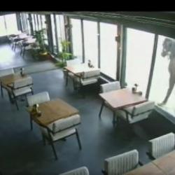 Kafeye &ccedil;ifte atan yılkı atı kamerada! İlgin&ccedil; anlar tekrar tekrar oynatıldı 