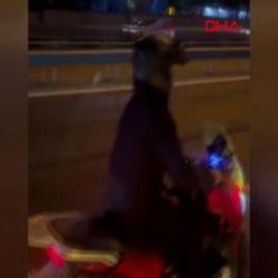 Maganda motosikletli İETT aracının camını kırdı