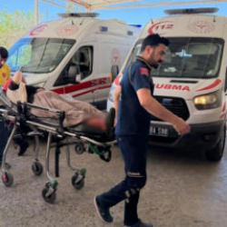 Şanlıurfa'da yılan avı: 3'&uuml; &ccedil;ocuk 5 yaralı! 