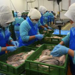 T&uuml;rkiye ge&ccedil;en yıl 133 &uuml;lkeye 2,2 milyar dolarlık su &uuml;r&uuml;nleri ihra&ccedil; etti