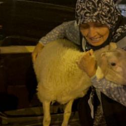 Ka&ccedil;an kuzuya benzetildi! '&Ccedil;orap' kavurma olmaktan son anda kurtuldu: İşte g&uuml;l&uuml;mseten olay