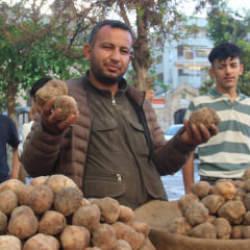 G&ouml;ren patates sanıyor! Kilogramı 2 bin TL'ye dayandı 