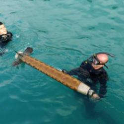 Karadeniz a&ccedil;ıklarında 'f&uuml;ze' paniği! &Ccedil;ok sayıda ekip b&ouml;lgeye geldi, incelemeye alındı!