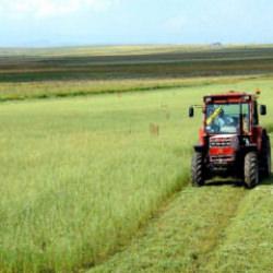 Bakan Yumaklı duyurdu: &Uuml;reticiye 165 milyon lirayı aşan yeni destek