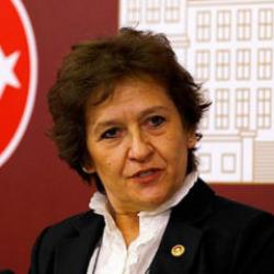CHP&rsquo;li G&uuml;ler &ldquo;FET&Ouml; partilere yapışan bir deniz kabuklusu&rdquo; AK Parti silkelendi kurtuldu!