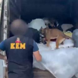 İzmir&rsquo;de zehir tacirlerine darbe: 371 kilogram uyuşturucu ele ge&ccedil;irildi