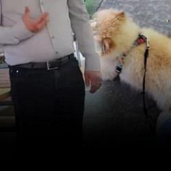 K&ouml;pek yasağını bahane edip hesabı &ouml;demedi