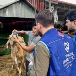 TDV Kurban Bayramı&rsquo;nda yaklaşık 37 milyon ihtiya&ccedil; sahibine kurban eti ulaştırdı